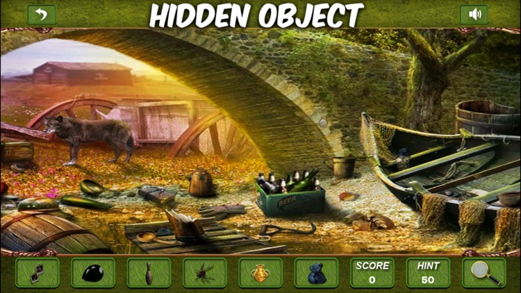 Amazone Forest Hidden Objects screenshot-3