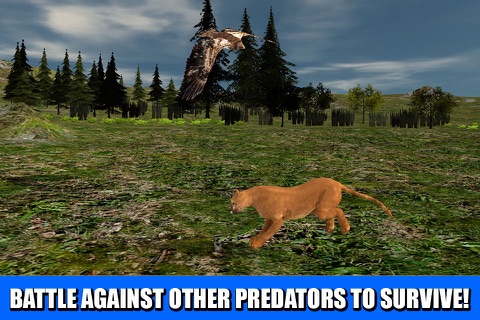 Wildlife Survival 3D: Puma Cat screenshot 3