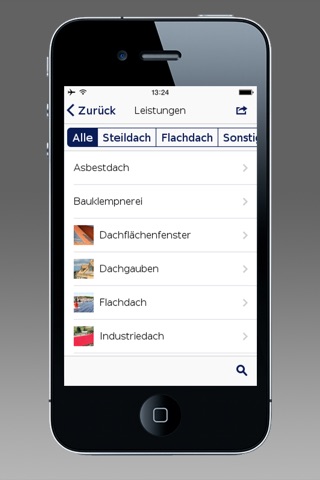 Dachbau Tessin GmbH screenshot 4