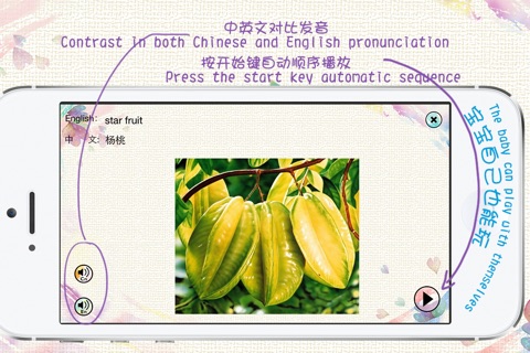 Chinese and English Vocabulary: audio and pictorial flashcards for kids screenshot 4