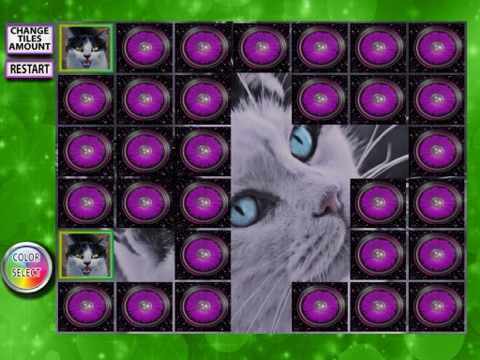 Cats Memory Matching Pairs - Improve concentration in this rainbow game screenshot 4