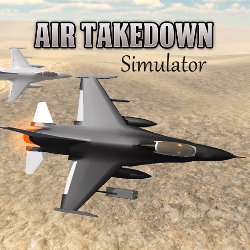 Air Takedown 3D Flight Simulator icon