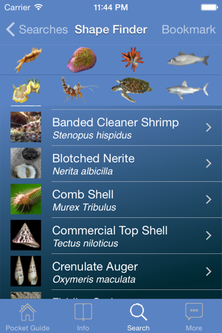 Pocket Guide Red Sea screenshot 4