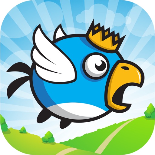 Sky King iOS App