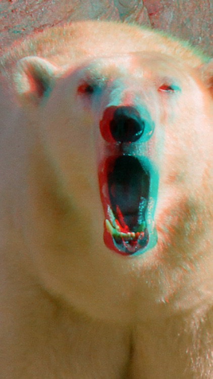 3D-Pictures
