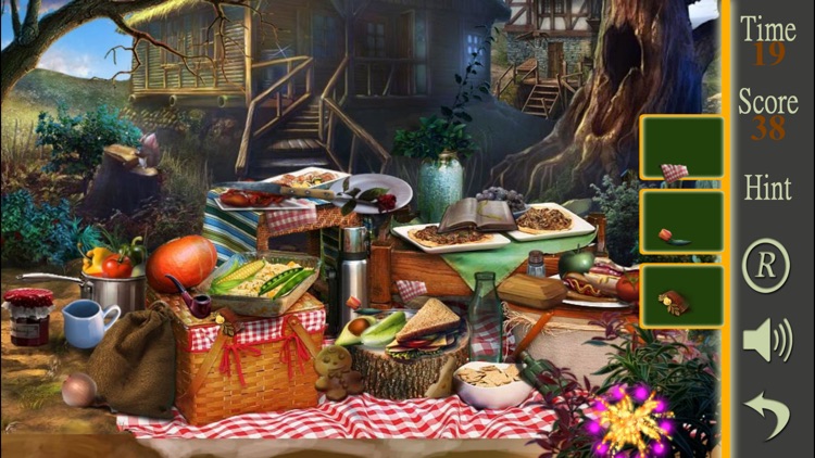 Hidden Objects A Picnic Weekend screenshot-4