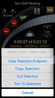 ht professional recorder iphone screenshot 3