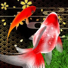 Activities of Sakura Goldfishing