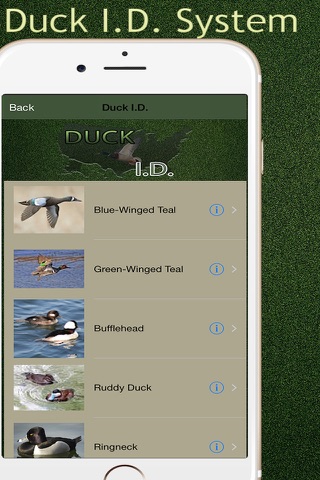 Pro Duck Calls & I.D. screenshot 4