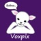 Voxpix