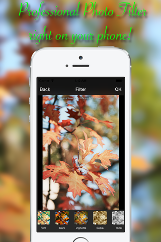 HaloPhoto - Awesome Photo Editor & Insta Beauty Filters with Captions and Stickers screenshot 2