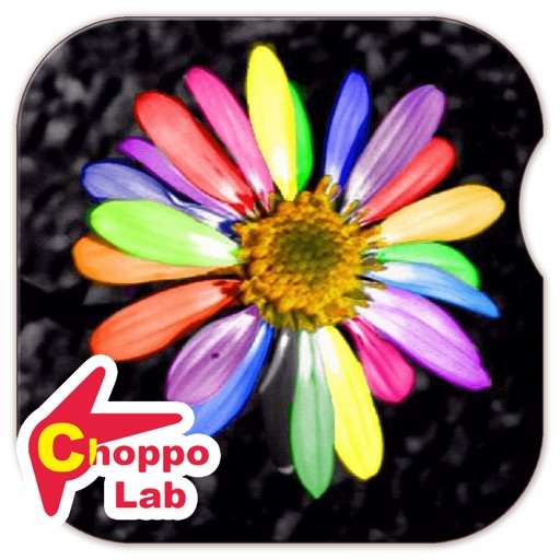 Wildflowers - Simple Pictorial Book Kids Game - iOS App