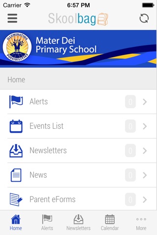 Mater Dei Primary School screenshot 3