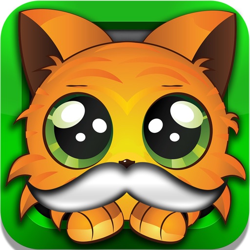 KittyPics – Funny Moustache Cat Photobombs icon