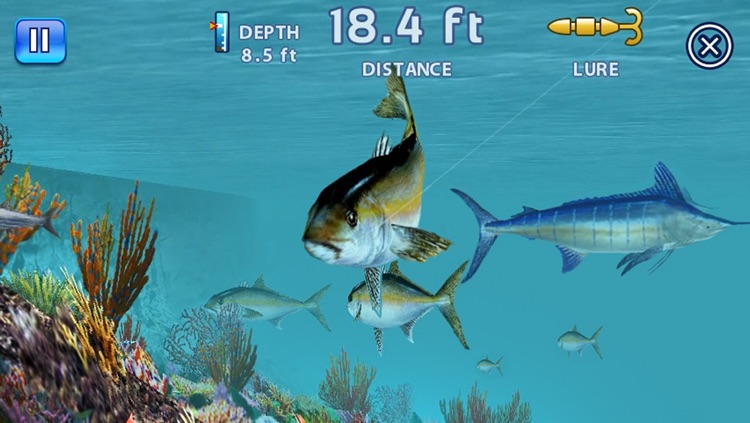 Fishing Kings Free+ screenshot-3