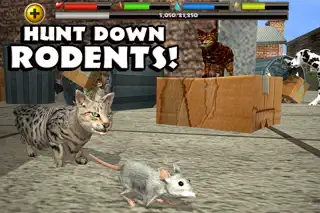 Stray Cat Simulator - Screenshot 3