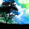 Nature Music Free - Relaxing Sounds Of Nature to Calm, Reduce Stress & Anxiety