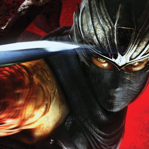 Amazing Ninja Storm icon