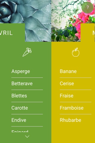 Fruits et légumes saisonniers screenshot 2