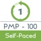 PMI-100 provides comprehensive certification programs for project managers across various levels of skill and education