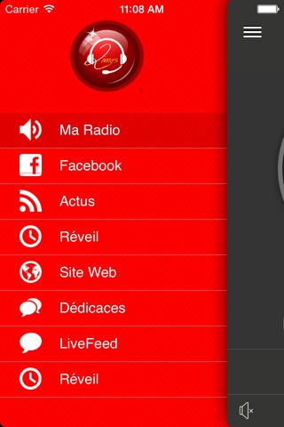 RADIO LIMES screenshot 2
