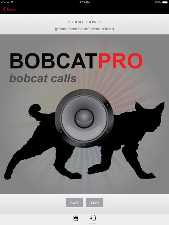 REAL Bobcat Calls - Bobcat Hunting -Bobcat Sounds HD