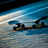 How to Skateboard (Beginners): Tips and Supports