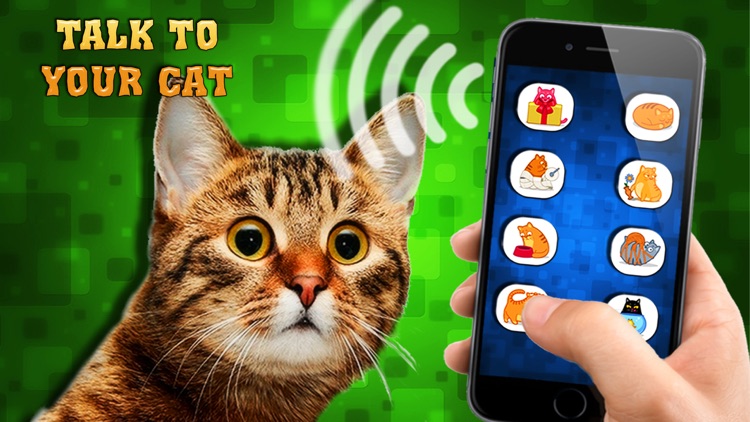 Cat Translator simulator