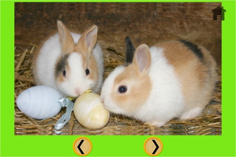amazing rabbits for kids - no ads screenshot 3