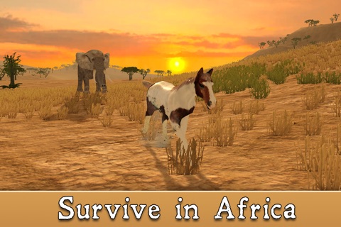 Wild African Horse: Animal Simulator 2017 screenshot 3