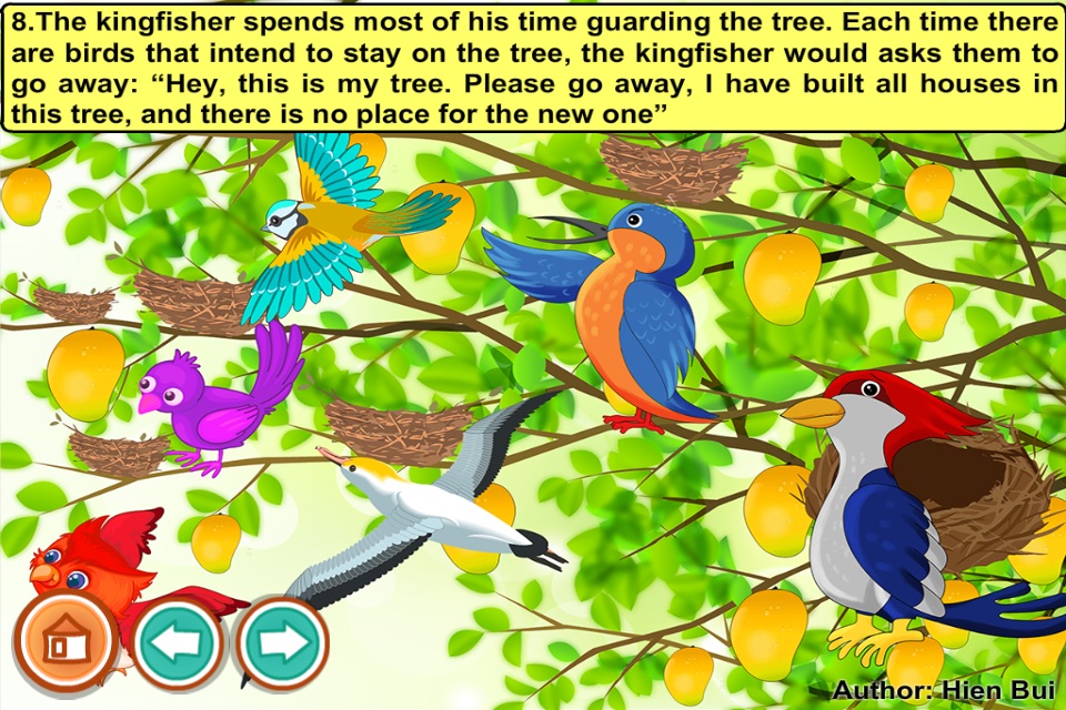 Kingfisher and woodpecker (story and games for kids) screenshot 3