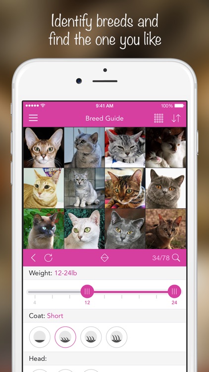iKnow Cats 2 PRO - Cat Breed Guide