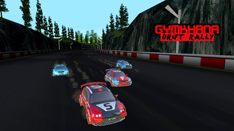 Gymkhana Drift Rally screenshot-4