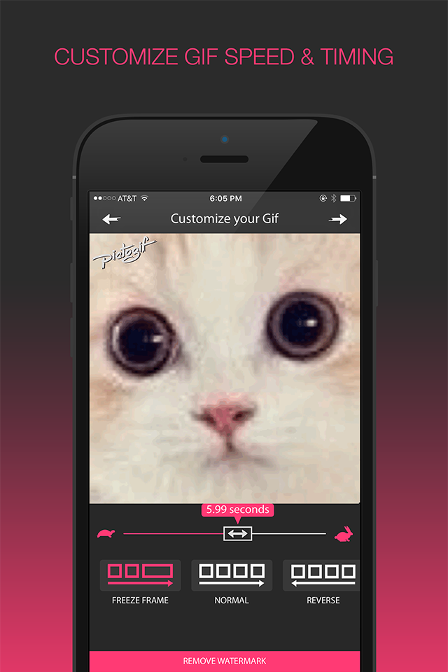 PictoGif Gif Maker -- Give the Gift of Gif