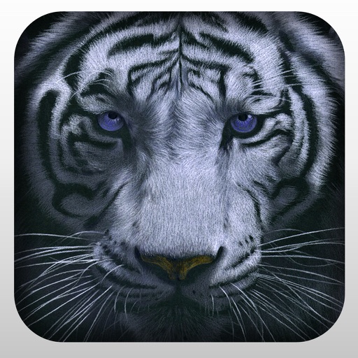 2016 Wild Hunting Simulation 3D Adventure