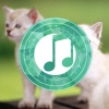 Cat Sounds Relax and Sleep: Calming music and gentle songs to relax and calm down for toddlers