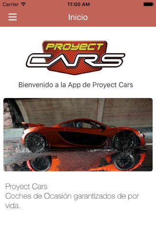 Proyect Cars screenshot 3