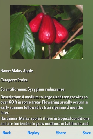 Fruits Puzzles Box screenshot 3