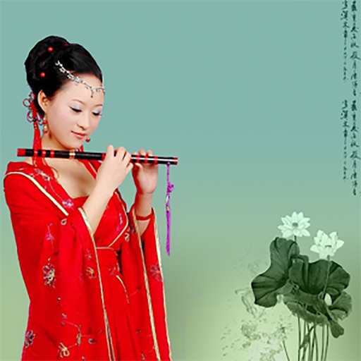 Flute Lessons - How To Play Flute By Videos icon