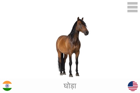 Play and Learn Hindi screenshot 3