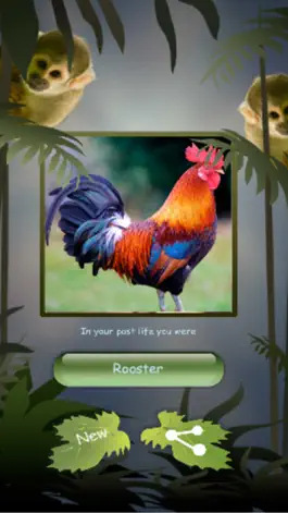 Game screenshot небольшое исследование животных:Игры Животные hack