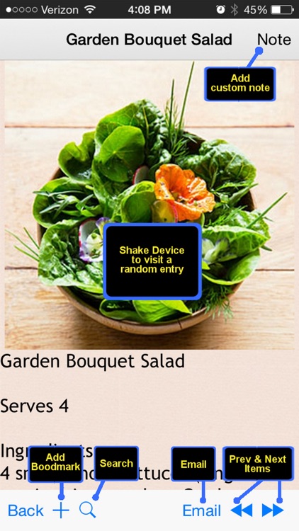 Mediterranean Diet Recipes