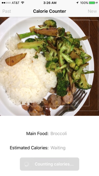 Food Calorie Counter - Automatically guess the calorie count in your food