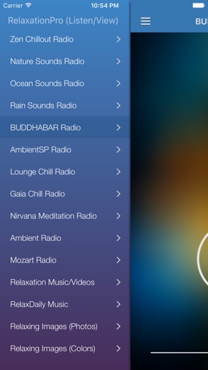 Relaxation Music Pro - Calming & Meditation Music(圖3)-速報App