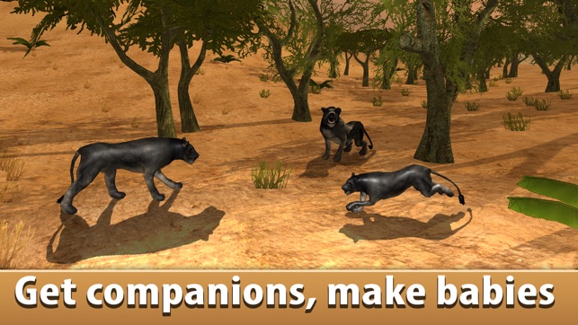 Black Wild Panther Simulator 3D - Be a wild cat in animal si(圖1)-速報App