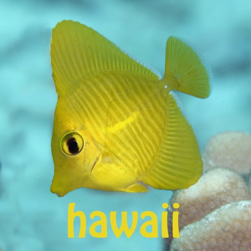 SnorkelFish Hawaii icon