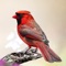 Birdwatchers will delight in these genuine cardinal sounds
