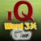 IQ Word3x TEST