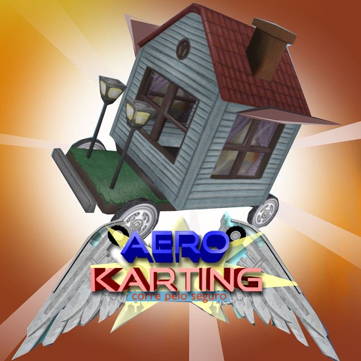 Aero Karting Icon