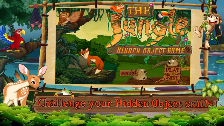 The Jungle Hidden Objects Game